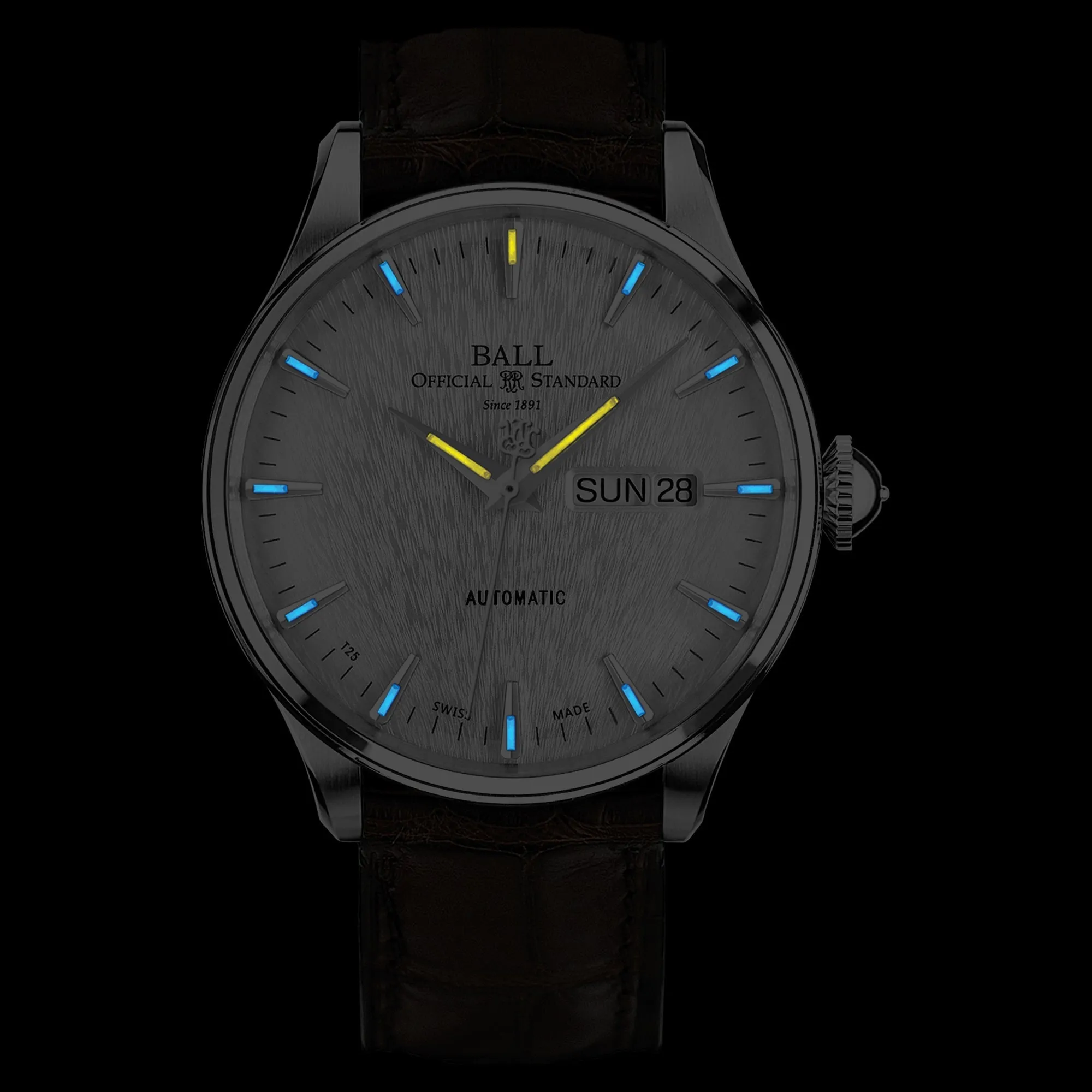 Ball Trainmaster Eternity Men's Black Watch NM2080D-LL1J-SL